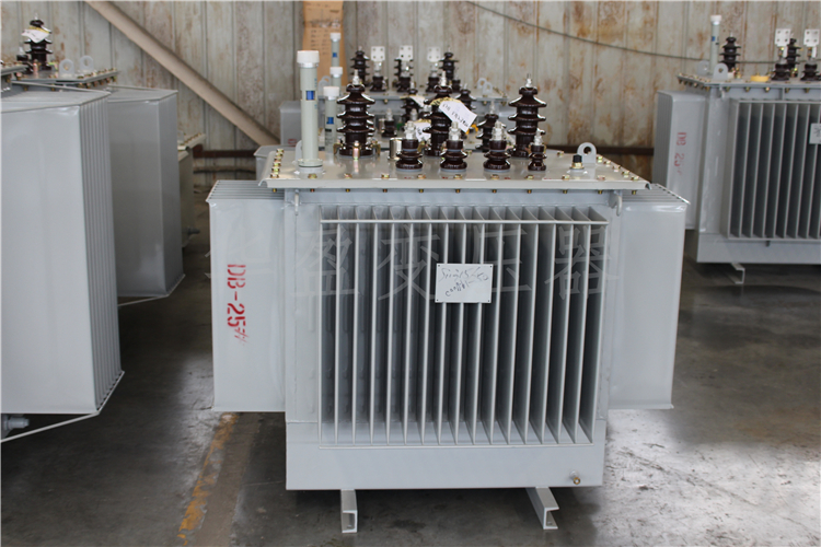 延边S20-800kVA/10kV/0.4kV变压器